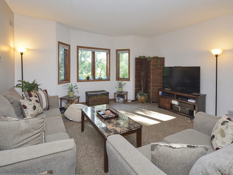Bay Window and Carpet Living Room